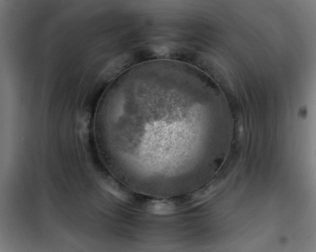 X0000102010275200807251315