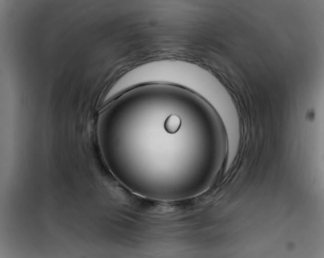 X0000102010276200807251315