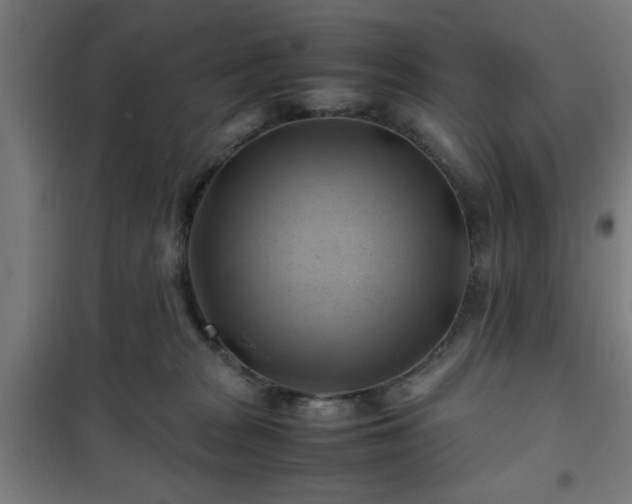 X0000102010277200807251316