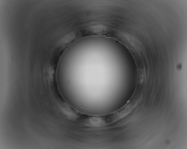 X0000102010279200807251316