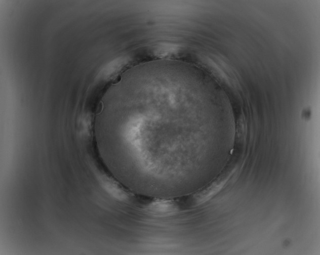 X0000102010280200807251316