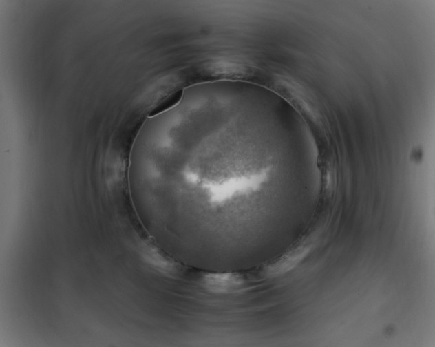 X0000102010281200807251316