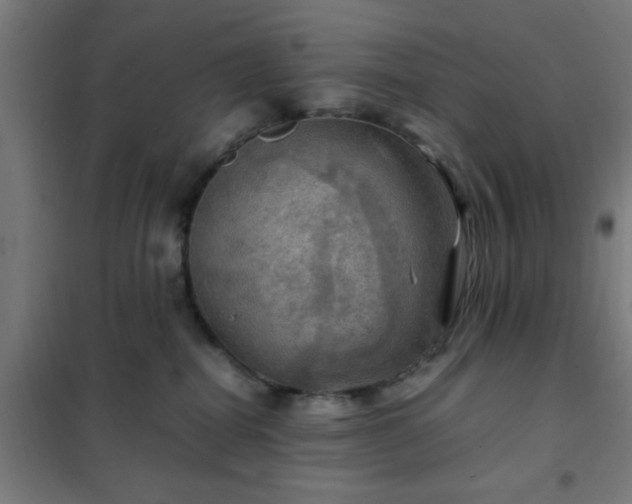 X0000102010282200807251316