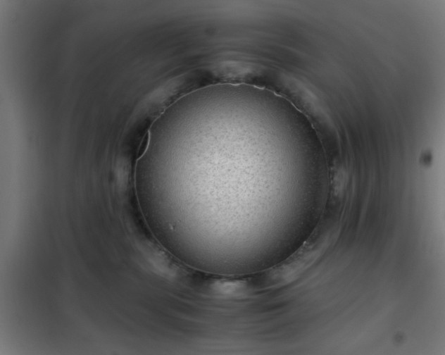 X0000102010283200807251316