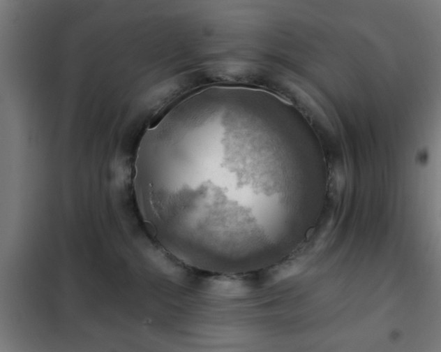 X0000102010284200807251316