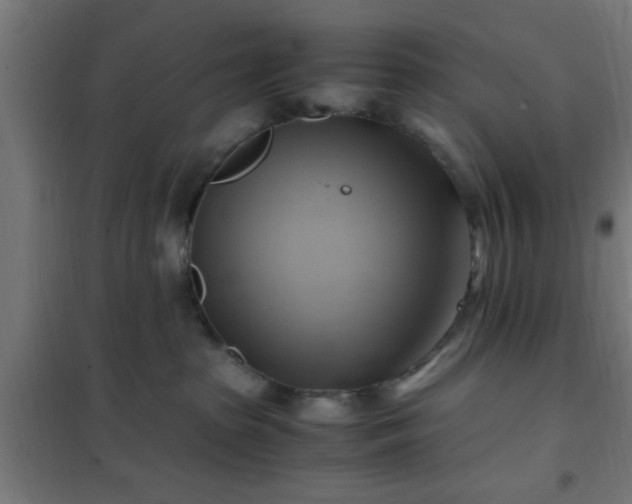 X0000102010285200807251316