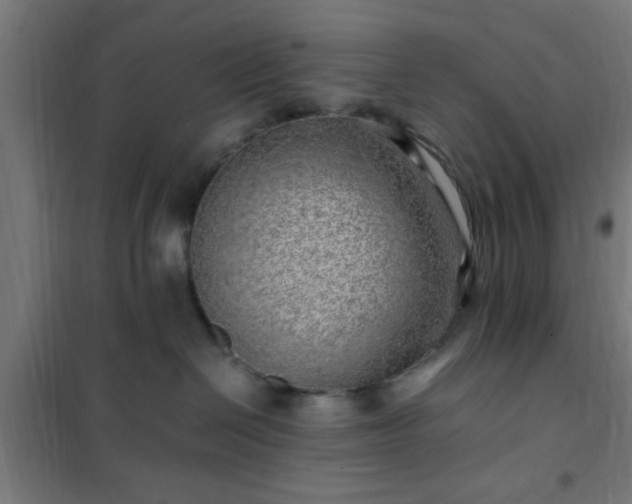 X0000102010286200807251316