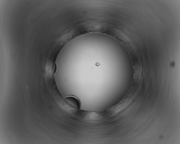 X0000102010287200807251316