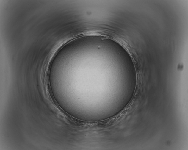 X0000102010289200807251315