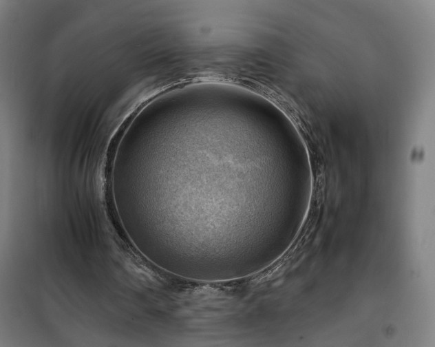 X0000102010290200807251315