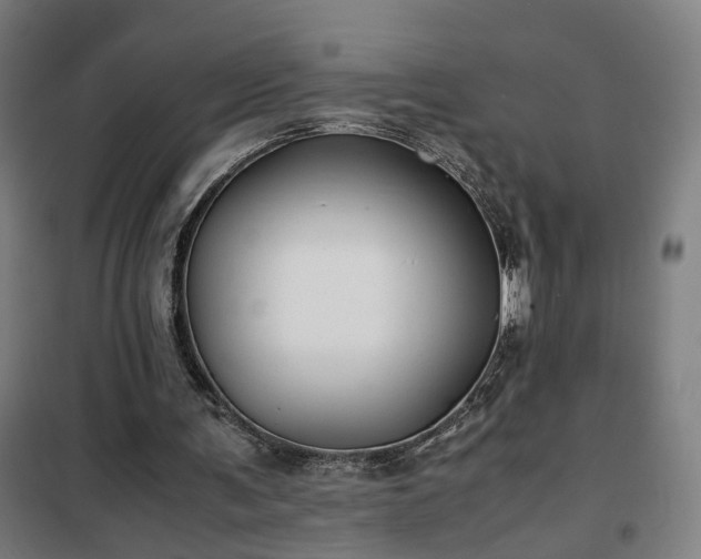 X0000102010291200807251315
