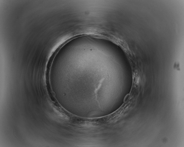 X0000102010292200807251315
