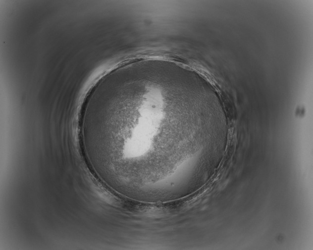 X0000102010293200807251315
