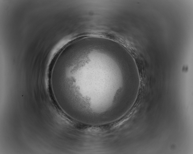 X0000102010294200807251315