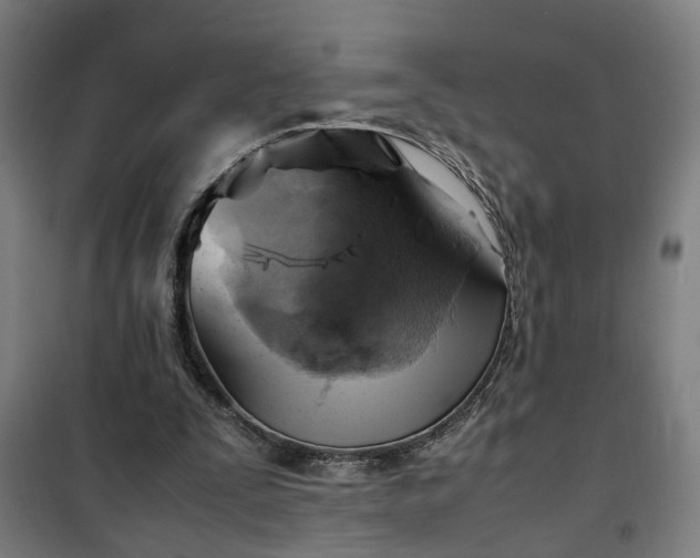 X0000102010295200807251315