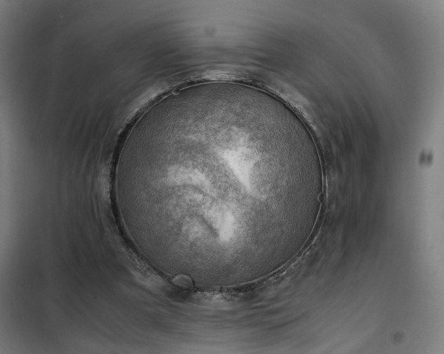 X0000102010297200807251315