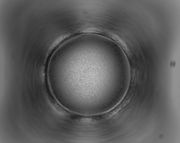 X0000102010298200807251315