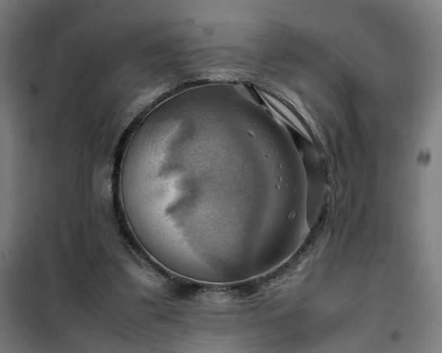X0000102010299200807251315