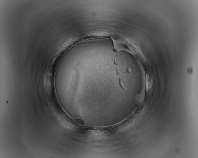 X0000102010300200807251315