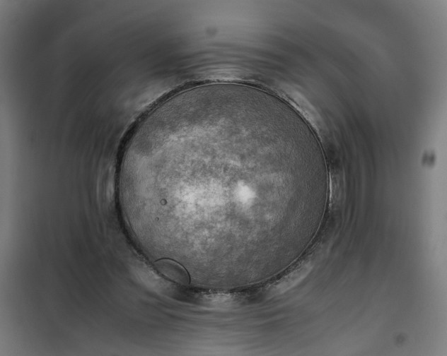 X0000102010301200807251315