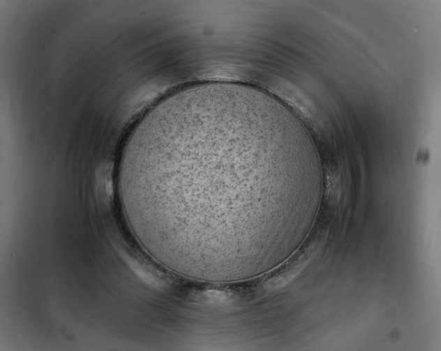 X0000102010302200807251315