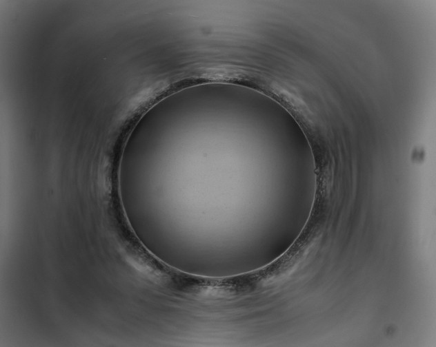 X0000102010303200807251315