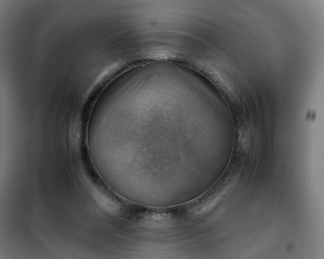 X0000102010304200807251315