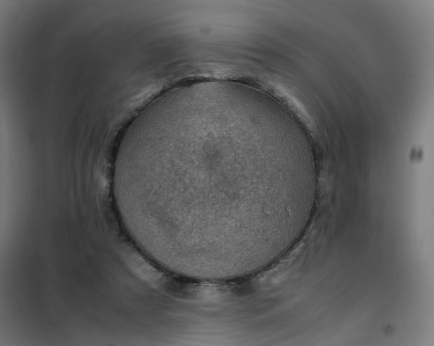 X0000102010305200807251315