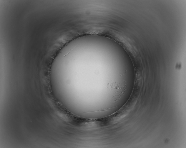 X0000102010307200807251315