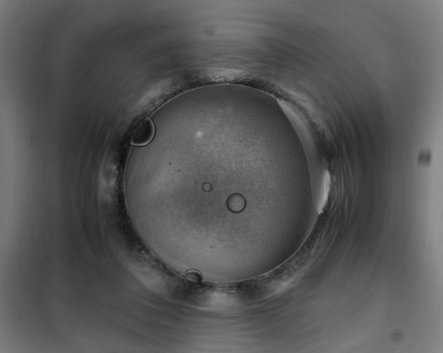 X0000102010308200807251315