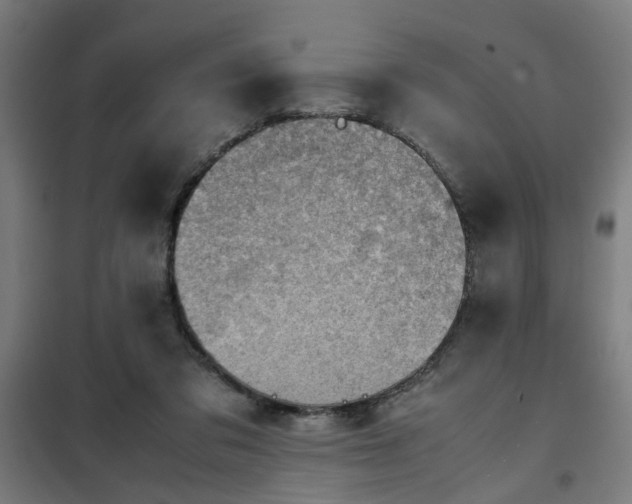 X0000102010309200807251315
