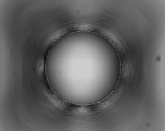 X0000102010310200807251315