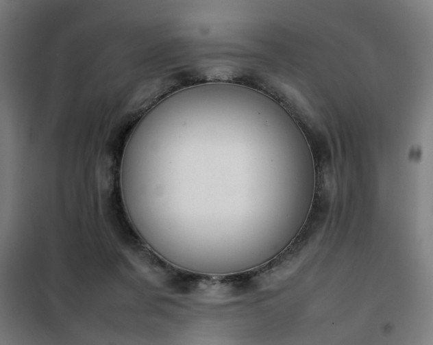 X0000102010311200807251315