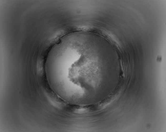 X0000102010312200807251315