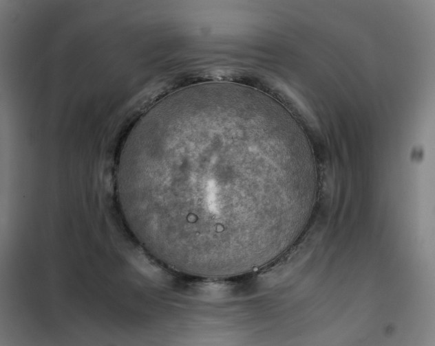 X0000102010313200807251315
