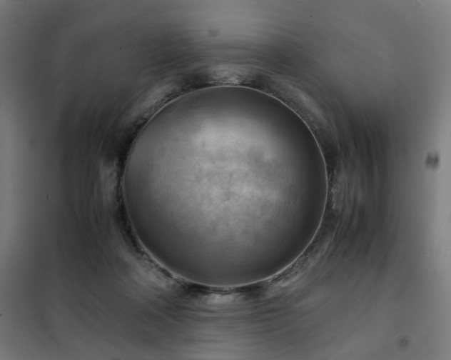 X0000102010314200807251315