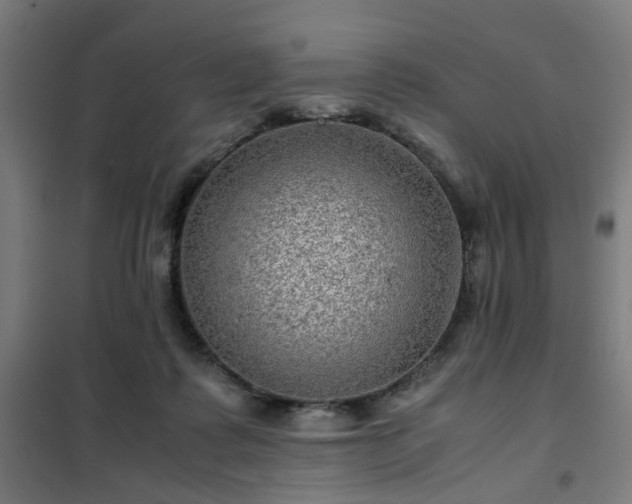 X0000102010315200807251315