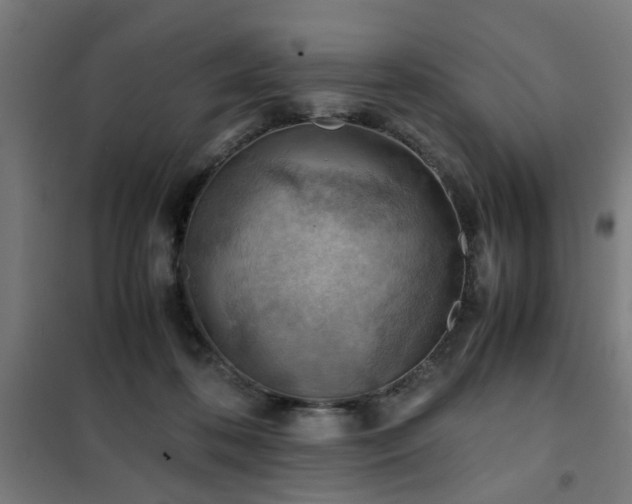 X0000102010316200807251315