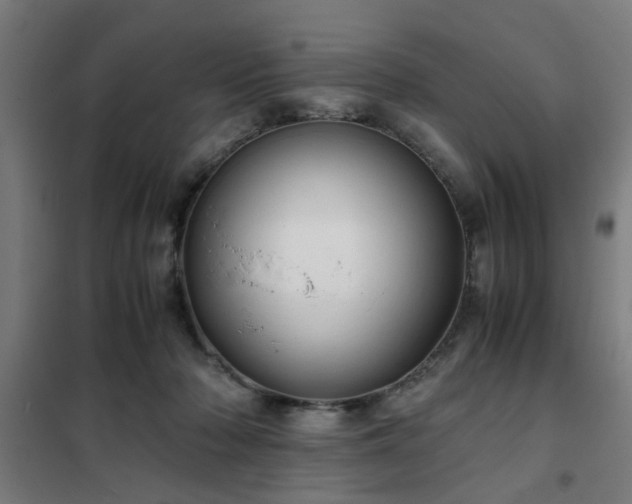 X0000102010318200807251315