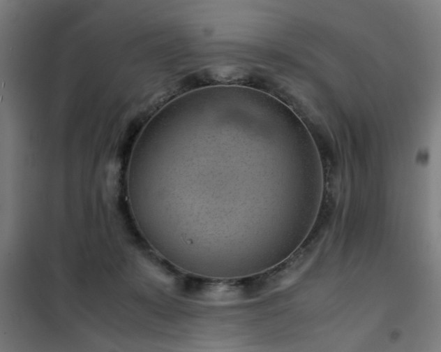 X0000102010319200807251315