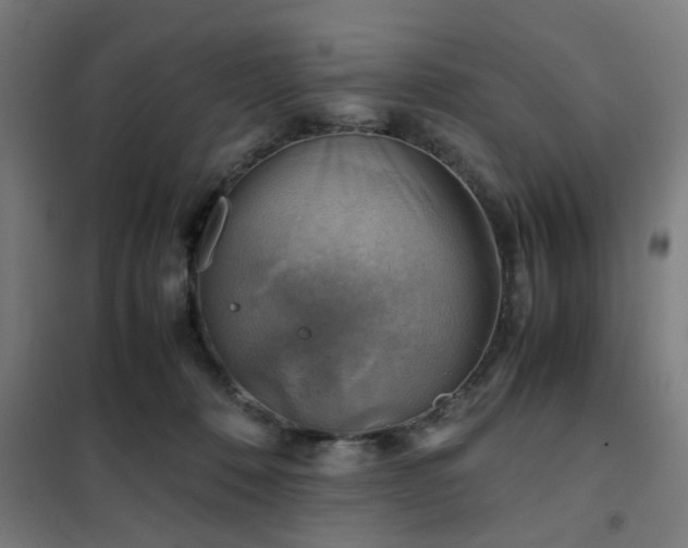 X0000102010320200807251315