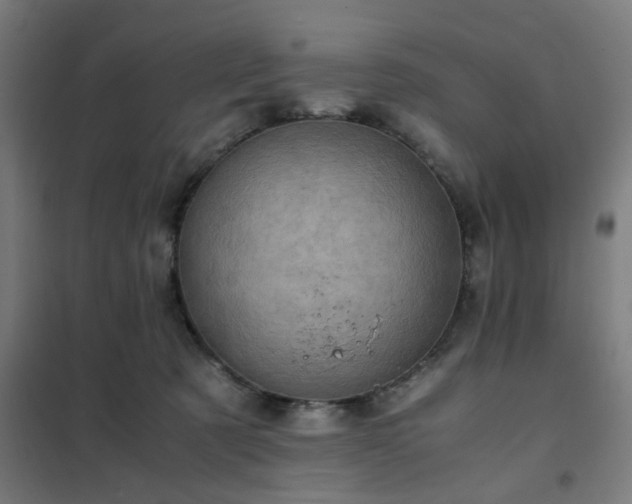 X0000102010321200807251315