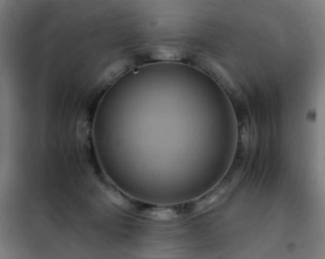 X0000102010322200807251315
