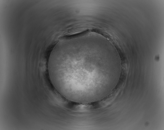 X0000102010323200807251315