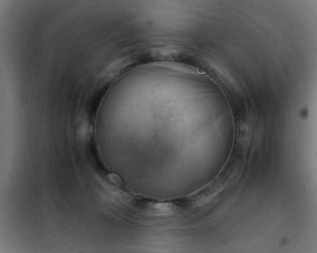 X0000102010324200807251315