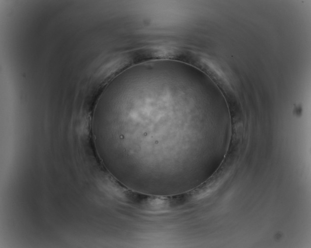 X0000102010325200807251315