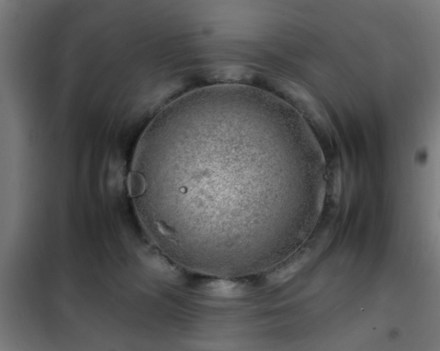 X0000102010326200807251314
