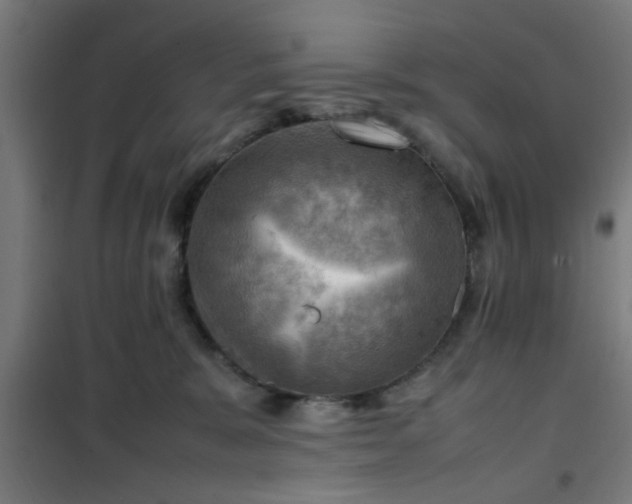 X0000102010327200807251314