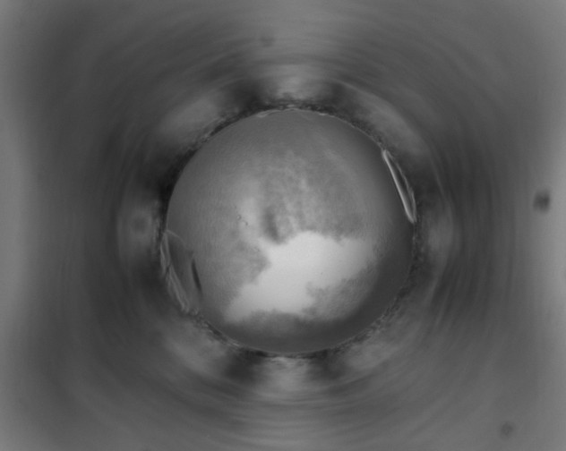 X0000102010328200807251314