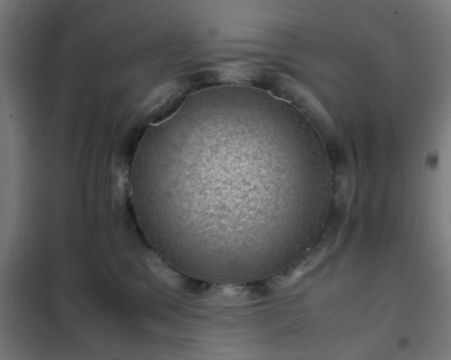 X0000102010329200807251314